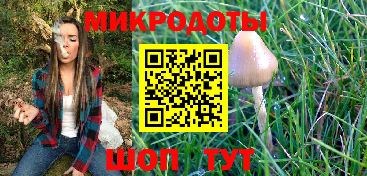 Псилоцибиновые грибы Psilocybine cubensis  Псилоцибиновые грибы Cubensis  Отрадный  Вход с VPN 