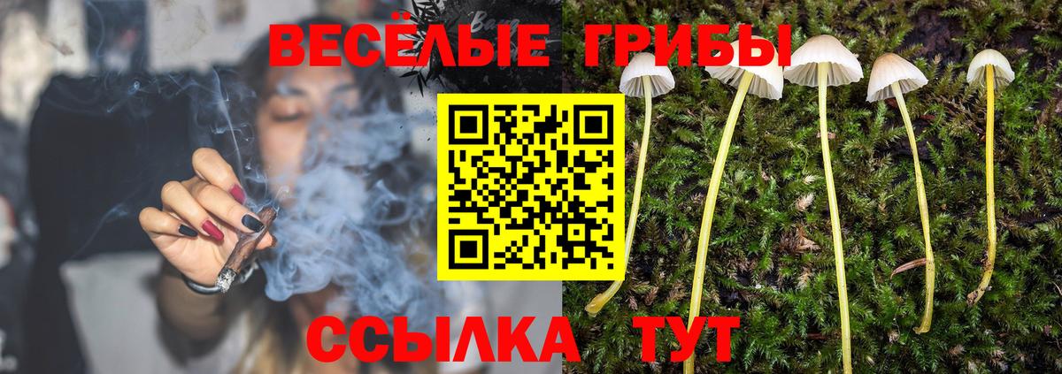 Галлюциногенные грибы Magic Shrooms Отрадный